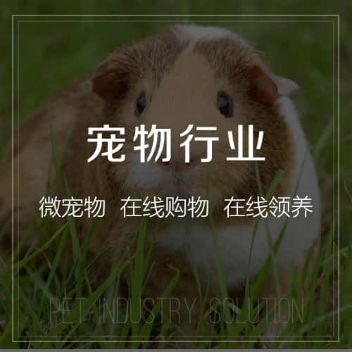 广元宠物