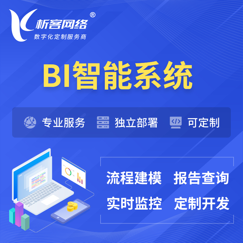 广元BI智能系统 | BI数据可视化